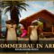 Sommerbau in ARK – background music for ARK