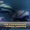 ARK Unterwasserwelt  – Archelon Swimming -DEU – backgroundmusic